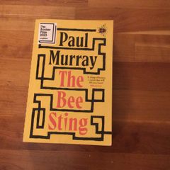 The Bee Sting by Paul Murray