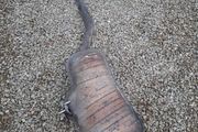 BMW E46 320i Exhaust