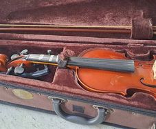 violin