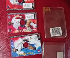 3 Euro 2000 collector cd cards/ Tony Adams/ Alan Shearer & Patrick Vieira