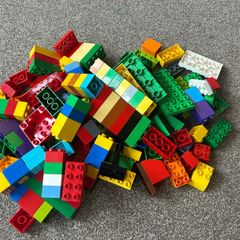 duplo blocks only