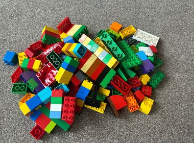 duplo blocks only