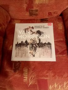 Lp Van Morrison Double Lp What's It Going To Take