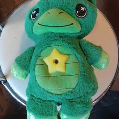 Star Belly Dream Lites Teddy Bear