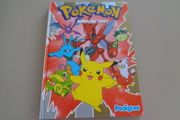 Pokemon Annual 2002