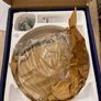 Hyundai 130 1.4 CRDI Clutch Kit Image 2