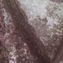Lace top Image 4