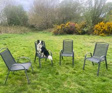Garden Chairs x 4