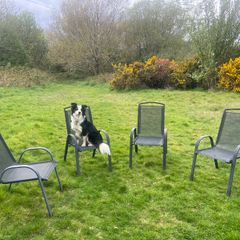 Garden Chairs x 4