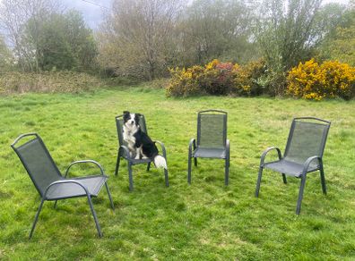 Garden Chairs x 4