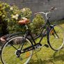vintage reid bike Image 2
