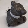 Genesis teddy bear Image 4