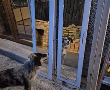 Doors
