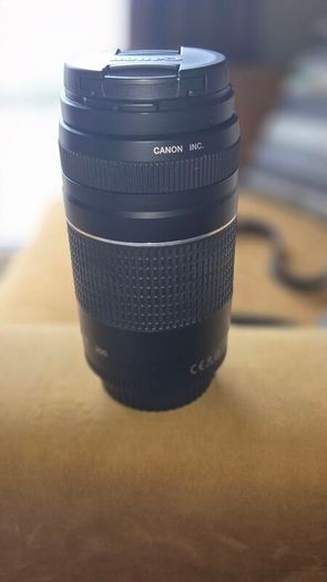 Canon 75-300 Lens