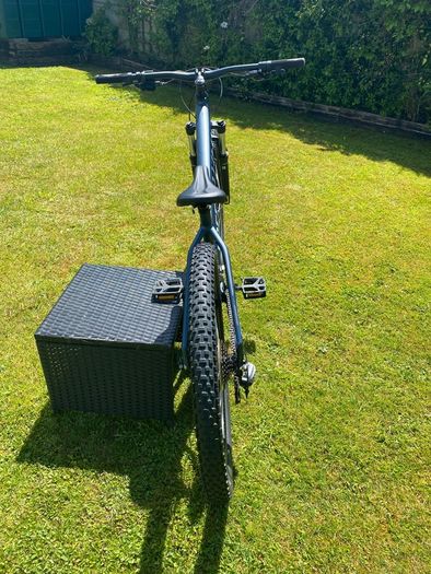 specialized
