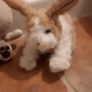 Three cuties Image 3