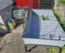 guinea pig or rabbit equipment. Home, food, bottle hay