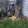 grass cutting etc Image 5