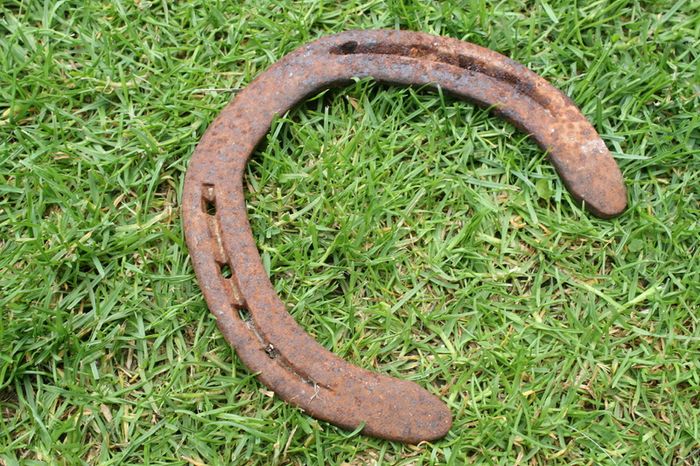 Vintage Horse Shoe