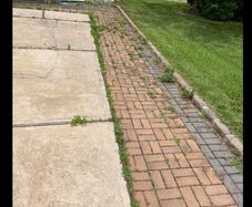 Weed control services