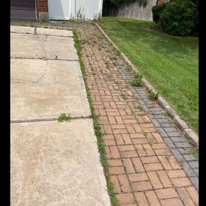 Weed control services