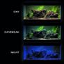 Aquael LEDDY Tube Day&Night 14W Sunny 62cm Image 3