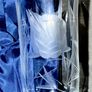 Failte Crystal Ireland Cut Flower Champagne pair Image 4