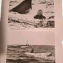 JAWS 2 - Press Kit With Photos - 1978. Image 5