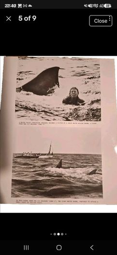 JAWS 2 - Press Kit With Photos - 1978.