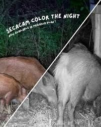 ZEISS Secacam 5 Wildlife Camera