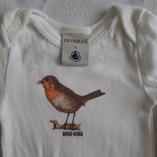 Petit Bateau x Deyrolle - 3 Baby Bodysuits - Unworn