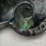 Soldered Flashy Labradorite Ammonite Fossil Amulet Talisman Belcher Chain Necklace Image 7