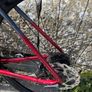 54cm Trek Domane AL 5 Gen 3 Disc Image 9