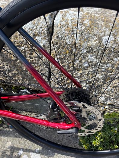 54cm Trek Domane AL 5 Gen 3 Disc