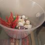 fish tank 50 liters with see decorations, just add water and your pet, ready to use Image 4