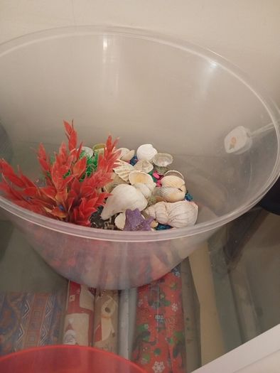 fish tank 50 liters with see decorations, just add water and your pet, ready to use
