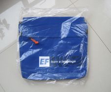 Travel Bag with Shoulder Strap. BNWT.