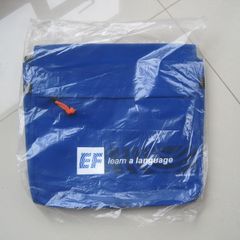 Travel Bag with Shoulder Strap. BNWT.