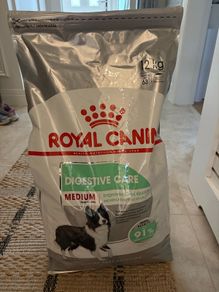Dog Food