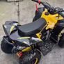 50cc 2stroke mini qaud Image 3
