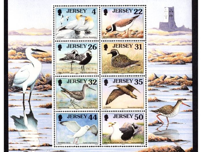 1997 Jersey Seabirds and Waders Definitive Stamps Miniature Sheet Mint Never Hinged (MNH)