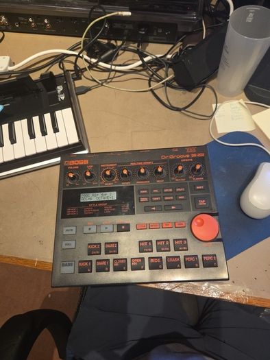 Roland Boss DR202