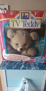 Vintage tv teddy