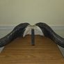 African Water Buffalo Horns Image 2