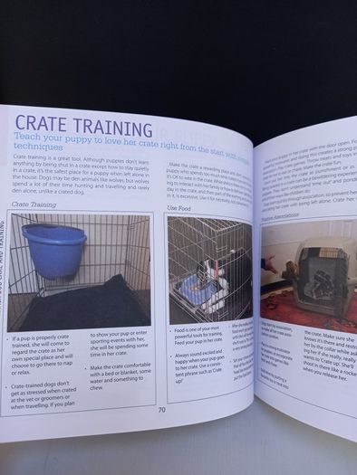 SALE! DOG CARE & TRAINING - A complete illustrated guide to adopting, house-training and raising a healthy dog