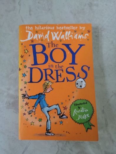 The Boy in the Dress