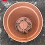 Garden Flower Plant Pots Image 7