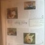 The Encyclopedia Of Dog Breeds Image 9