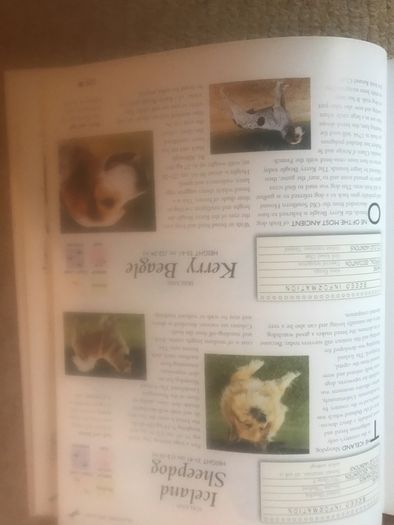 The Encyclopedia Of Dog Breeds