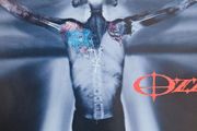Ozzy Osbourne - Down To Earth.